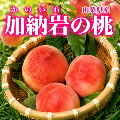 【山梨県山梨市産】加納岩の桃 旬のおまかせ 1kg(3玉)贈答用 ～世界農業遺産地域からお届け～【配送不可地域：離島・沖縄県】
