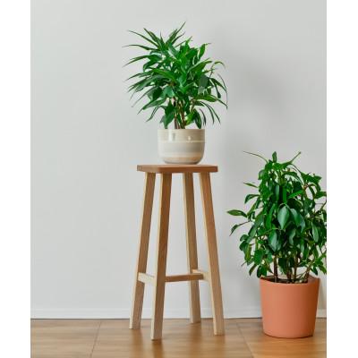 ふるさと納税 高山市 キッチンに置いておきたい、あたたかみのある、木製ハイスツール AH084 |  | 02