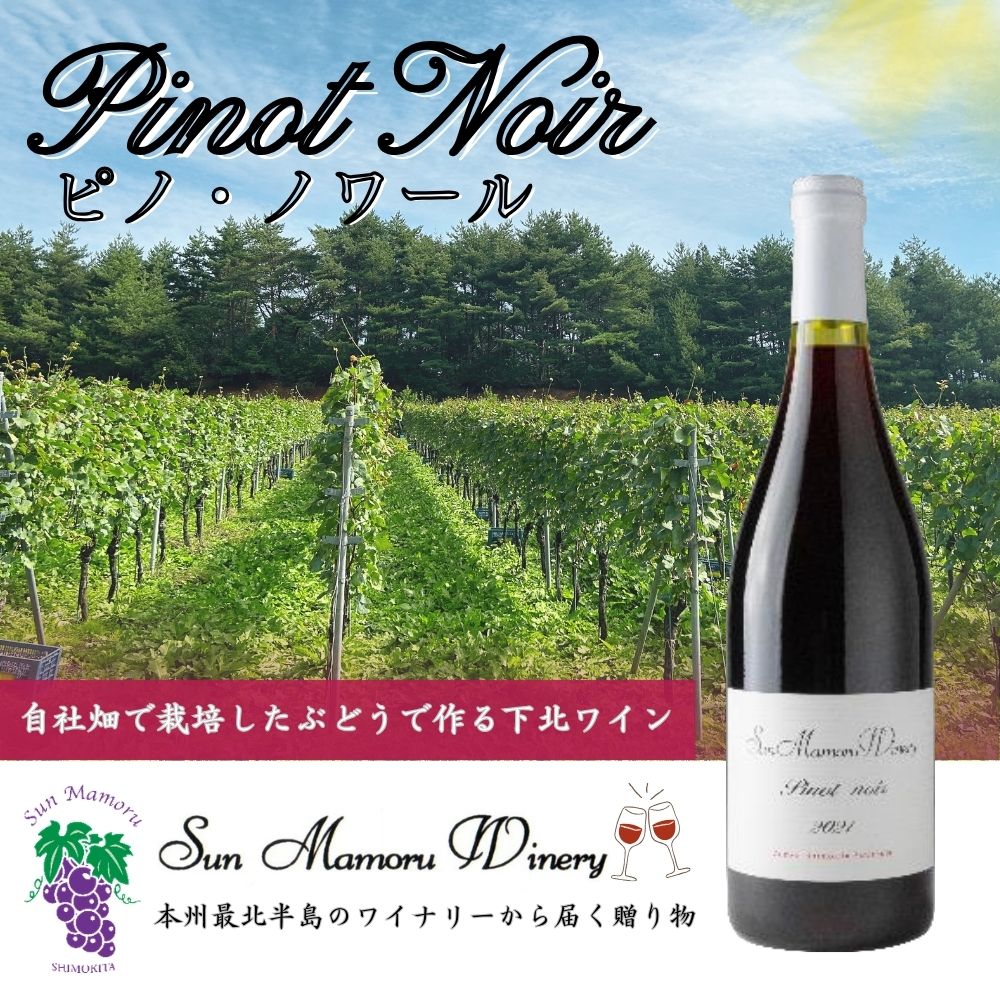【ふるさと納税】ピノ・ノワール　赤ワイン　むつ市　青森　サンマモルワイナリー　下北ワイン【配送不可地域：沖縄・離島】