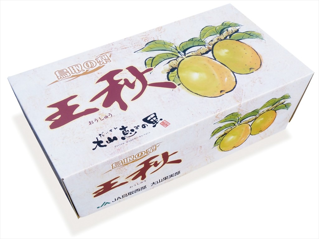 
                  【赤秀】鳥取県産　王秋２ｋｇ（３玉）【髙島屋選定品】
                