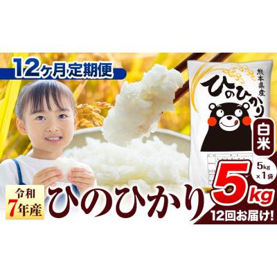 ふるさと納税 氷川町 【12ヶ月定期便】令和7年産 ひのひかり 白米 熊本県産 5kg《お申込み翌月から出荷》