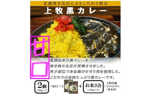 ＜ご当地カレー＞上牧黒カレー(甘口)2個+地元米(ひのひかり)2合をセット【1446983】