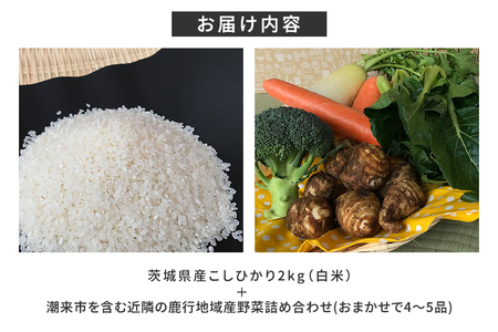 ＜白米 2kg＞『身体が喜ぶ野菜とお米』詰め合わせ おまかせセット 茨城県産 コシヒカリ 米 お米 ご飯 ごはん 栽培期間中農薬不使用 季節の野菜 セット 微生物農法 EM農法 有機栽培 産地直送 新