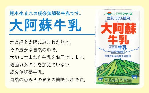 大阿蘇牛乳 250ml×24本 1ケース 生乳 100% ミルク 成分無調整牛乳