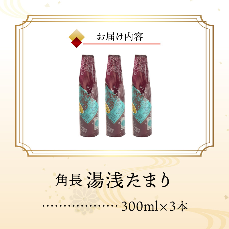 ZC6021_角長 湯浅たまり（300ml×3本）