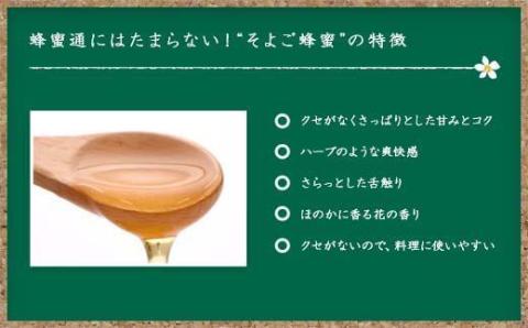 【全3回】 定期便 かの蜂 国産 そよご蜂蜜 合計3kg（とんがり容器1kgを毎月1本お届け）