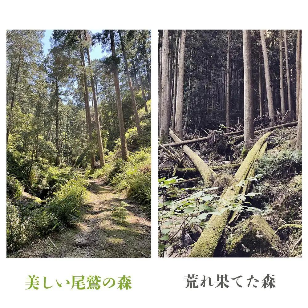 「一枚板でローテーブルを作るワークショップ」Lサイズ 送料無料 全国配送離島含 三重県 尾鷲ヒノキ 徳川御三家紀州藩の伝統継承 幅900～1,100×幅250～350×高さ約310mm│家具 インテリ