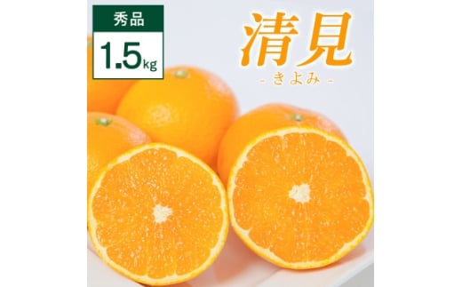 清見 1.5kg 愛媛県 八幡浜市 西宇和地区 柔らかい果肉＜C25-350＞【1716853】