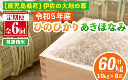 isa518-A 【定期便6回】＜普通精米＞令和6年産 鹿児島県伊佐南浦産 ひのひかり5kg・あきほなみ5kg (合計60kg・計10kg×6ヵ月) 国産 白米 精米 伊佐米 お米 米 生産者 定期便 ひのひかり あきほなみ 新米【Farm-K】