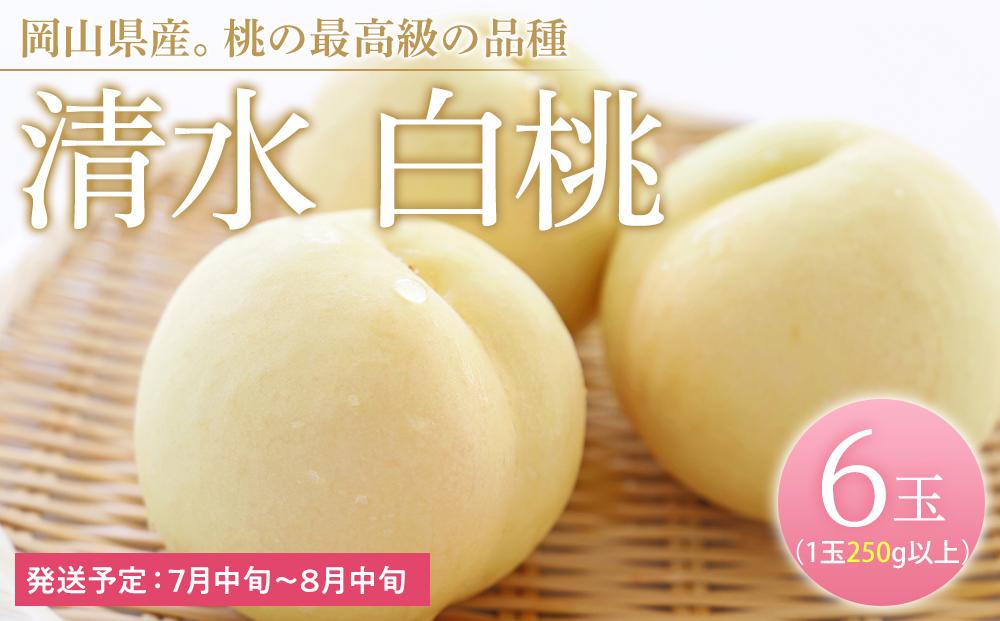 桃 2026年  清水 白桃 6玉（1玉250g以上） もも モモ 岡山県産 国産 フルーツ 果物 ギフト