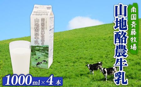 山地酪農牛乳 4リットル | 紙パック牛乳 1リットル✕4本 低温殺菌牛乳 斉藤牧場牛乳