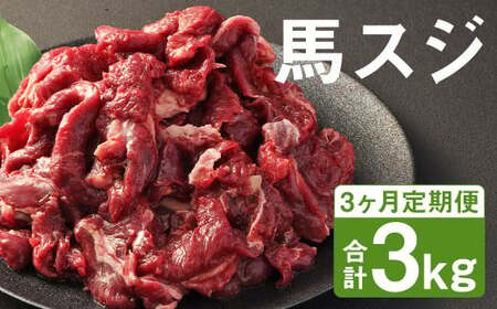 【3ヶ月定期便】 馬スジ 1kg （500g×2パック）×3回《お申し込みの翌月発送》 馬肉 肉 馬すじ スジ 定期 冷凍