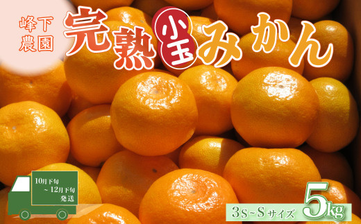 峰下農園の完熟みかん（小玉）５kg 【2026年11月上旬-12月下旬発送予定】フルーツ 果物 くだもの 柑橘 みかん ミカン 蜜柑 柑橘 たらみかん 太良みかん 温州みかん 完熟みかん 国産 佐賀県産 こだわり 産地直送 贈答品 詰め合わせ セット 小玉 甘熟 極甘 佐賀県 太良町L124x1