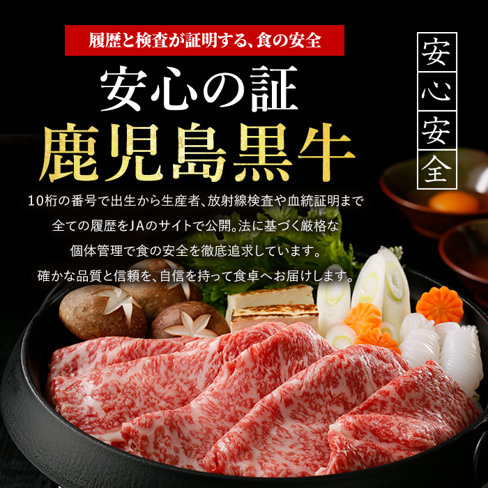 鹿児島黒牛モモスライスセット600g(JAいぶすき/IB045-001)L1201