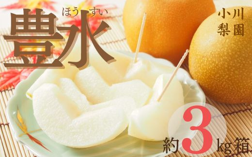 
                  ＼ 数量限定 ／ 豊水梨 3kg 小川梨園 申込受付中 ！ 豊水 梨 なし 千葉県 千葉なし 梨豊水 9月発送 先行予約
                