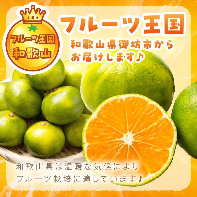 【1213】極早生みかん 5kg 和歌山産 甘酸っぱいみかん