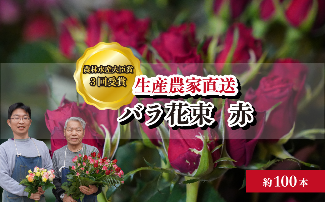 ＜配送エリア限定・着日指定必須＞ 生産農家直送 バラ花束 新鮮 赤 約100本 | 埼玉県 上尾市 バラ 薔薇 ローズ 花束 植物 インテリア 誕生日 記念日 お祝い 母の日 父の日 ラッピング有り リボン付き 多品種 Mix花束 切り花 農林水産大臣賞 生花 プレゼント ギフト