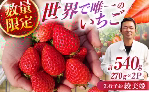 【先行予約 2026年2月より発送】 〈幻のイチゴ〉綾美姫270g×2 いちご イチゴ 苺 ストロベリー 果物 フルーツ 広川町 / 石川農園 [AFCC001]