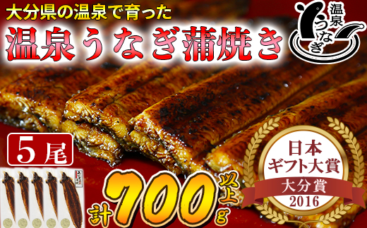 温泉うなぎ蒲焼 5尾（140gサイズ） 国産うなぎ 母の日 父の日 ＜104-009_5＞