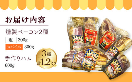 自家製 燻製ベーコンハムセット feliz（フェリス）大村市 Torres手作りハムベーコン工房[ACAB234]