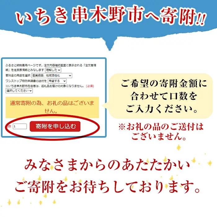 返礼品無し寄附（10,000円分）【Z-003】