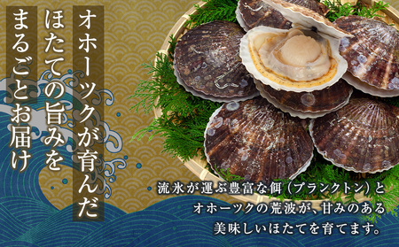 帆立の浜頓煮 60g1個 冷凍帆立 200g1袋セット【横田水産】