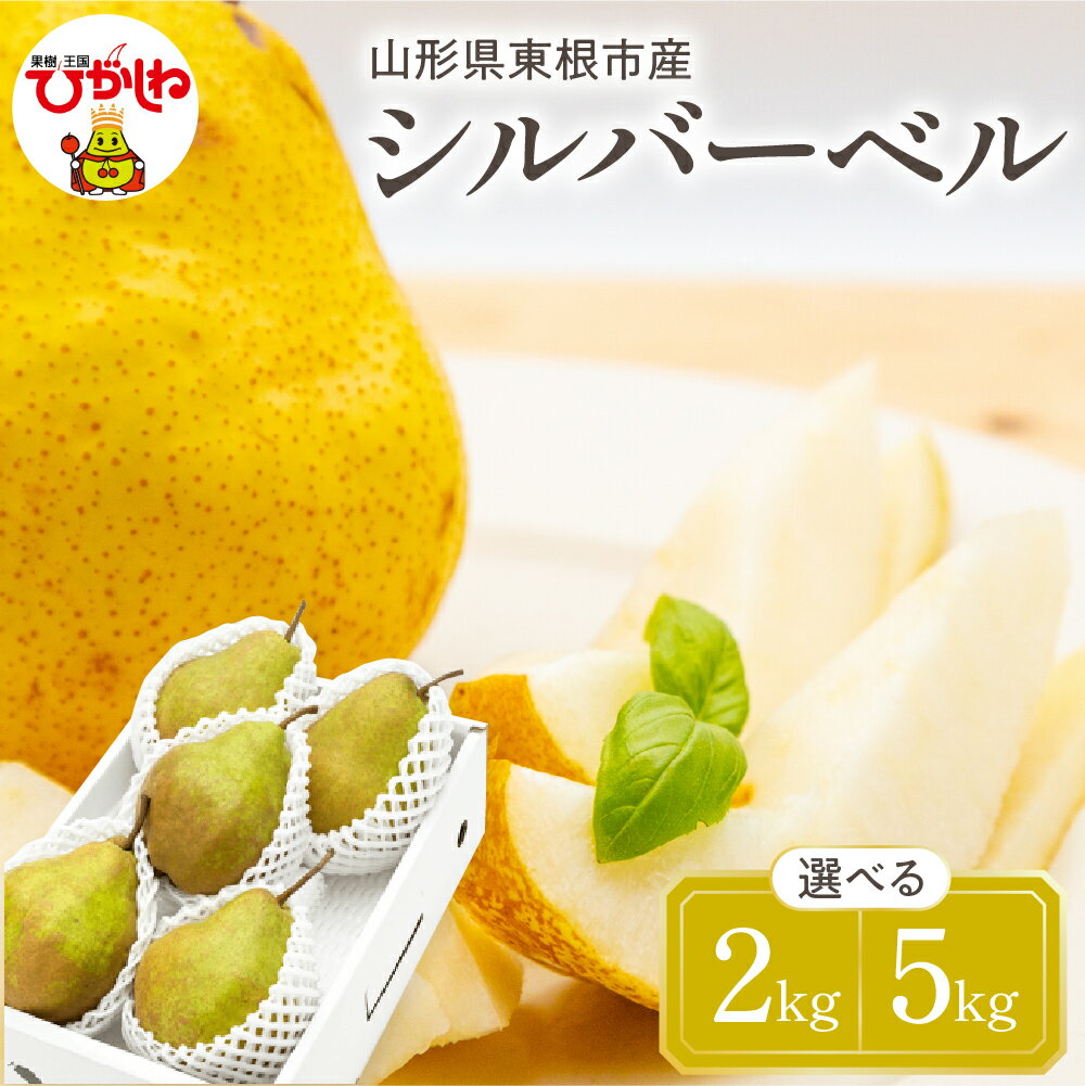 【ふるさと納税】【令和7年産 先行予約】 西洋梨 シルバーベル ( 選べる内容量 : 2kg / 5kg ) 秀品 化粧箱入り / 洋なし 洋梨 洋ナシ フルーツ 果物 くだもの 化粧箱 期間限定 産地直産 ご当地 お取り寄せグルメ 送料無料 国産 東北 山形県 東根市