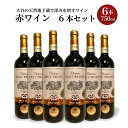 【ふるさと納税】＼レビューキャンペーン／大谷の天然地下蔵で深みを増すワイン 赤ワイン 6本セット【 赤ワイン お酒 ギフト 栃木県 宇都宮市 】※配送不可地域：離島