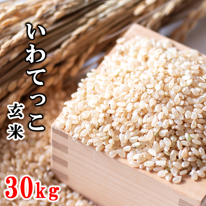【令和7年産】 新米 11月上旬発送開始予定 いわてっこ 玄米 30kg ／ 十一代目藤助 こめ 米 コメ お米 おこめ