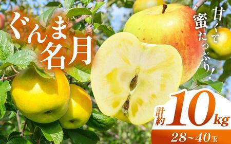信州産 塩尻エールりんご！果汁たっぷり ぐんま名月 約10kg（28～40玉）【10月下旬頃～発送予定】| 果物 くだもの フルーツ 林檎 りんご リンゴ ぐんま名月 果実 アップル 長野県 塩尻市