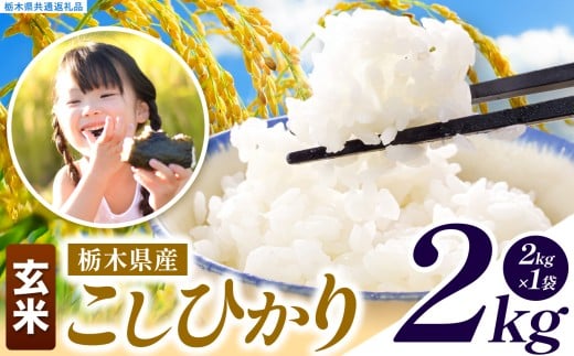 いちご農家さん応援米！ 訳あり 令和7年度産 玄米 約2kg こしひかり |  真岡市産 米  お米 こめ 玄米 ご飯 ごはん もちもち コシヒカリ 限定 ふるさと納税  栃木県 真岡市 送料無料