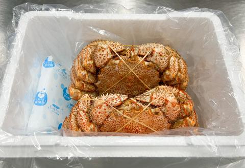【北海道根室産】浜ゆで毛がに300g～400g×2尾 B-05004