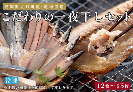 一夜干しセット 12枚-15枚 天日塩 無添加 干物 詰め合わせ 冷凍便  海鮮セット 焼くだけ簡単