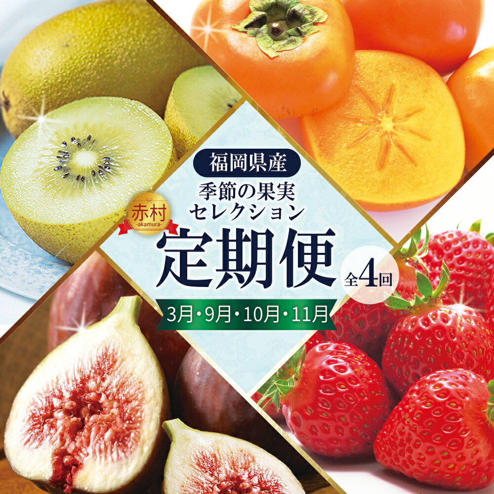 【ふるさと納税】福岡県認定 季節 の 果実 セレクション フルーツ 定期便【 全4回 】 イチジク 無花果 イチゴ 苺 いちご あまおう キウイ 甘うぃ 柿 かき 秋王 国産 日本 果物 食材宅配 食物繊維 美容 送料無料 サブスク 福岡県 赤村　3W26