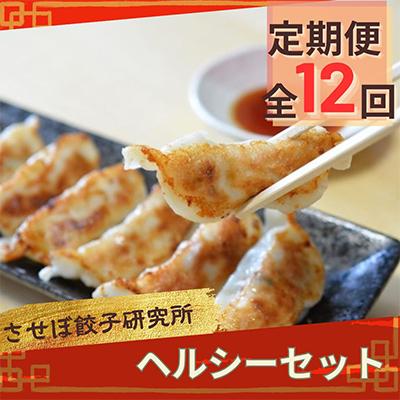 ふるさと納税 佐世保市 【毎月定期便】させぼ餃子研究所 させぼ餃子ヘルシーセット全12回