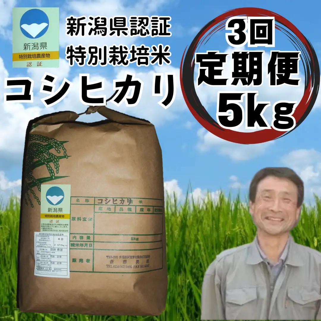 【令和7年産】【3か月定期便】特別栽培米 コシヒカリ 5kg×3回 新潟県認証 新潟県 米 こめ コメ 白米 精米 さいとう農園 1G14061