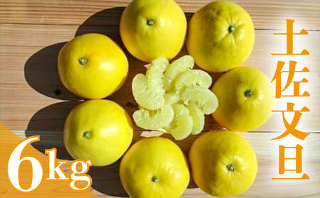 ひなた 土佐文旦 6kg 文旦