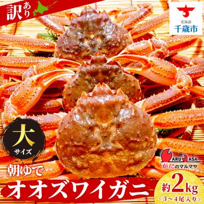 ふるさと納税 千歳市 北海道産【 朝ゆで 】訳ありオオズワイガニ 2.0kg詰 道産品 ズワイガニ ずわい蟹 不揃い