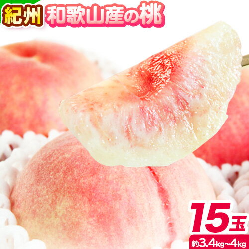 【ふるさと納税】桃 もも 紀州 和歌山産 の 桃 15玉 ( 約 3.4kg ~ 4kg ) 魚鶴商店《7月上旬-8月下旬頃出荷》 和歌山県 日高町 フルーツ 化粧箱入り ギフト モモ わかやま 果物