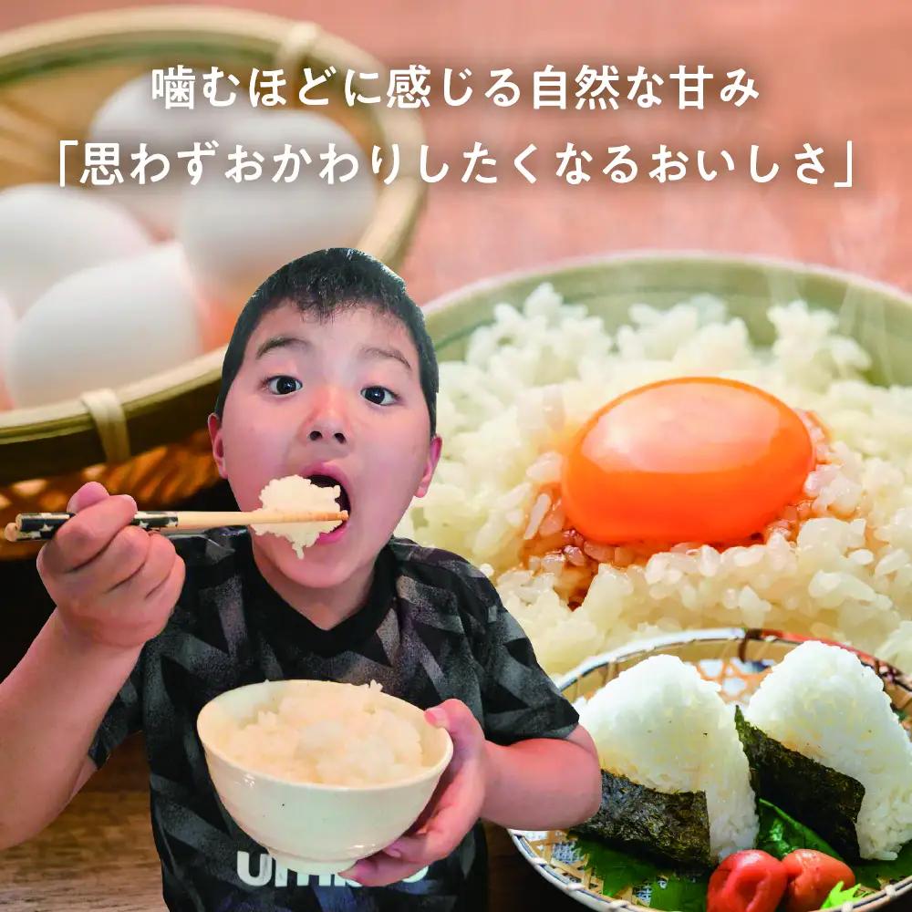 令和8年産 コシヒカリ白米 3kg / 米 新米 こしひかり ソイル