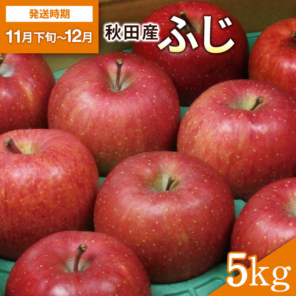 【ふるさと納税】りんご ふじ 5kg 16玉～18玉 箱入り 酸味 と 甘味 のバランスが絶品！ ふるさと納税 りんご 旬 ふじりんご 果物 フルーツ 秋田県【(株)小町の郷　菜菜こまち直売所】[B5-2701]