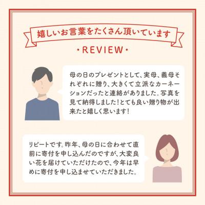 ふるさと納税 田村市 【先行受付 2026年母の日】カーネーション2種「4号鉢バスケット入り」鉢植え |  | 02