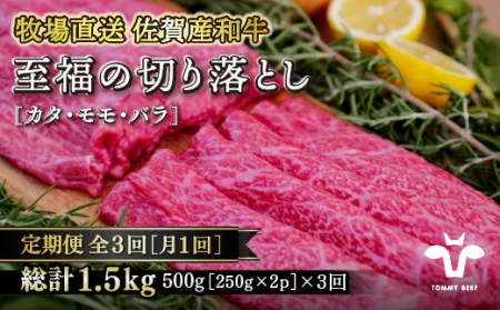 【定期便3回】【牧場直送】佐賀産黒毛和牛 至福のきりおとし500g：B370-003