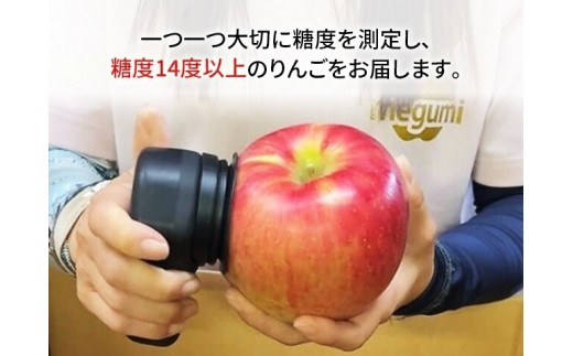 【10月中旬発送】訳あり りんご 糖度14度以上 高糖度 megumi farmのサンジョナゴールド 家庭用 約3kg（6〜7玉入） 果物 フルーツ 産地直送 料理 青森県 鰺ヶ沢町