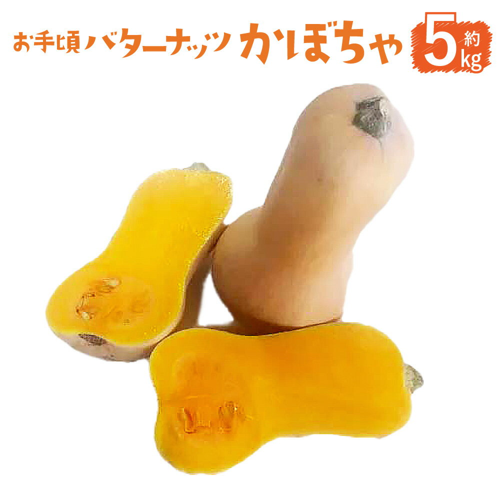 【ふるさと納税】北海道産 バターナッツ かぼちゃ 約5kg【2026年1月上旬頃までに発送予定】かぼちゃ 南瓜 野菜 北海道 北広島市 送料無料