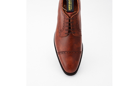 スコッチグレイン 紳士靴 「シャインオアレインIV」 NO.2773BR メンズ 靴 シューズ ビジネス ビジネスシューズ  ファッション 仕事用 パーティー フォーマル  26.5cm