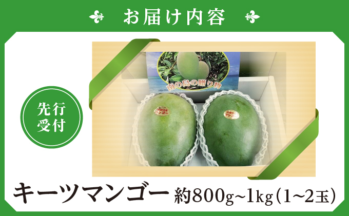 (先行受付)【2027年発送】キーツマンゴー 南城市 約800g～1kg（1～2玉）   I  キーツマンゴー きーつまんごー マンゴー まんごー トロピカルフルーツ フルーツ 贈答用 1kg 800g   沖縄県 南城市 ふるさと納税 しろまファーム