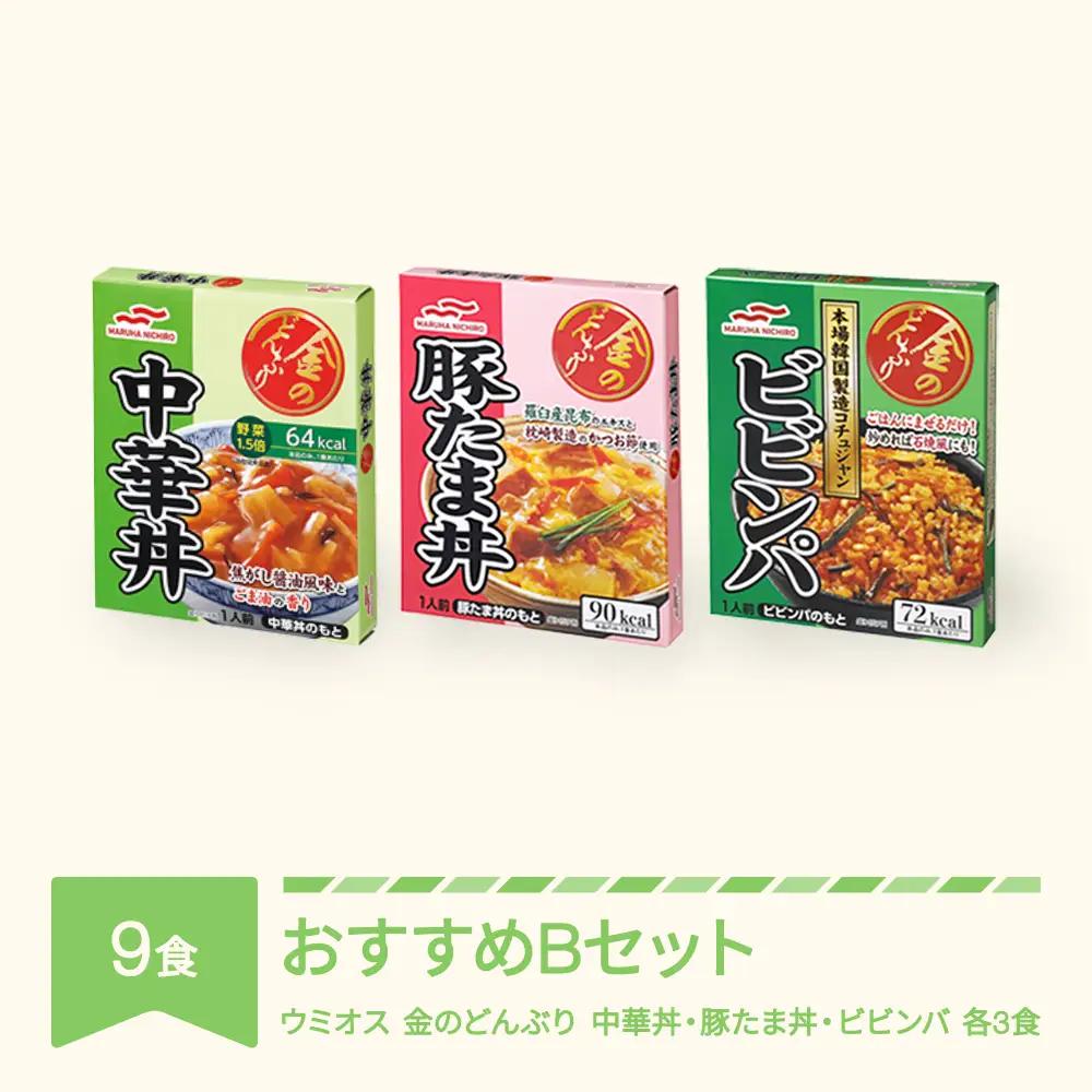 マルハニチロ 金のどんぶり レトルト おすすめBセット 9個 ku-rtxxx9-ck3bt3bb3