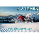 【ふるさと納税】HAKUBA VALLEY 10 スキー場共通リフト券【小人1日券5枚】【1560082】