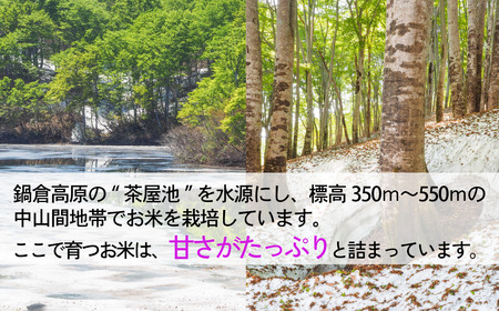 【先行予約】〈 令和7年産 新米予約 〉沼田さんちの満点 こしひかり 10kg (7-58A）  長野県 飯山市 おすすめ ランキング おいしい 高評価 大人気 こしひかり